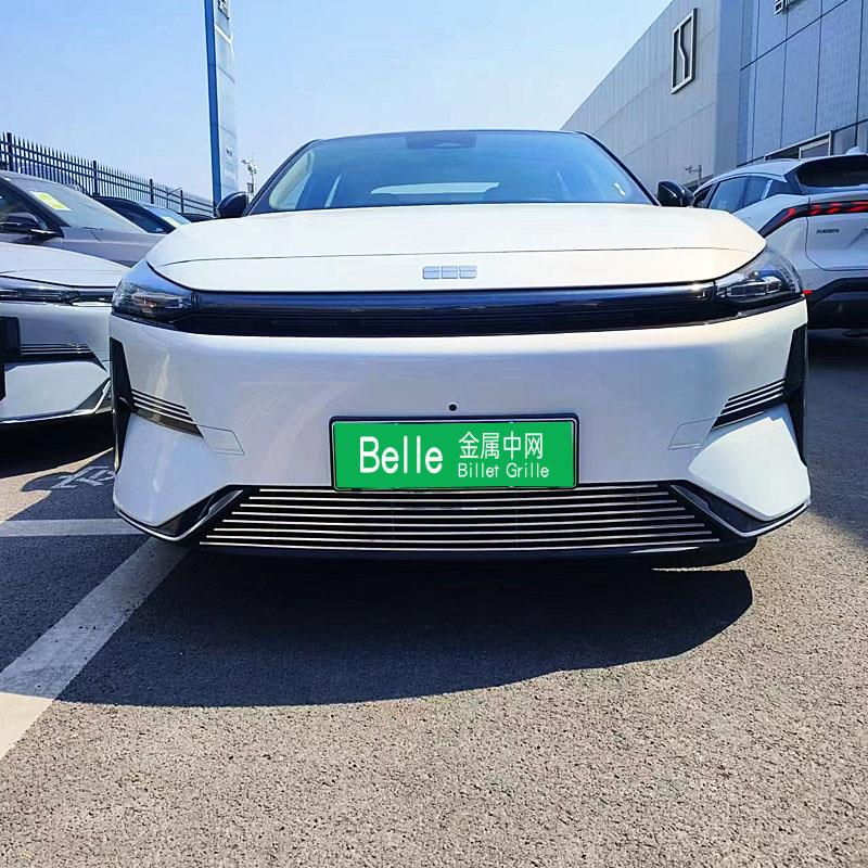 适用于吉利银河L6改装件专用金属中网前脸外观防虫网用品亮条配件