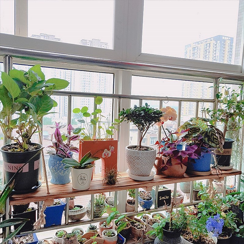 阳台护栏悬挂花架栏杆挂式木头花架挂钩挂墙花架阳台窗户多肉花架
