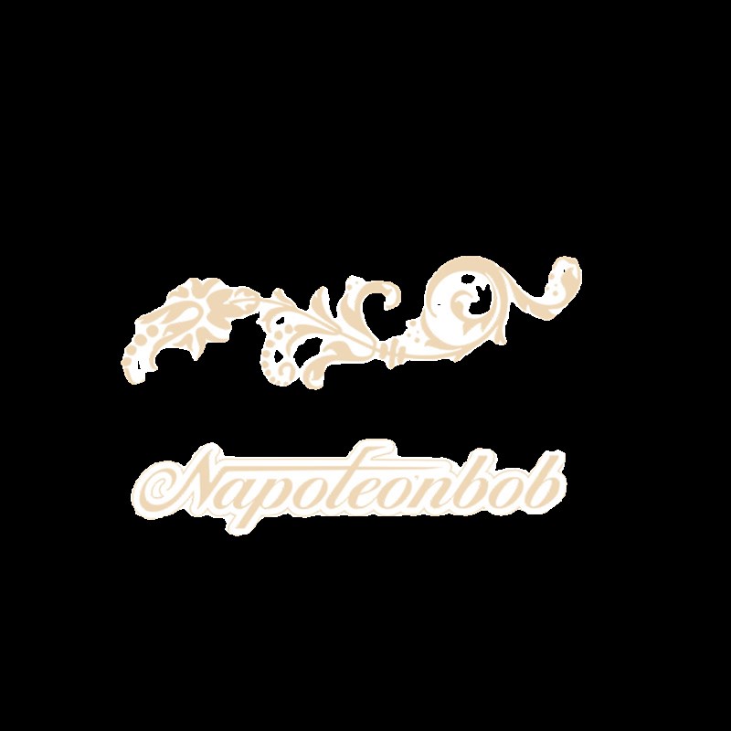 适用奔达拿破仑减震贴复古贴纸防水贴改装减震贴花涂装