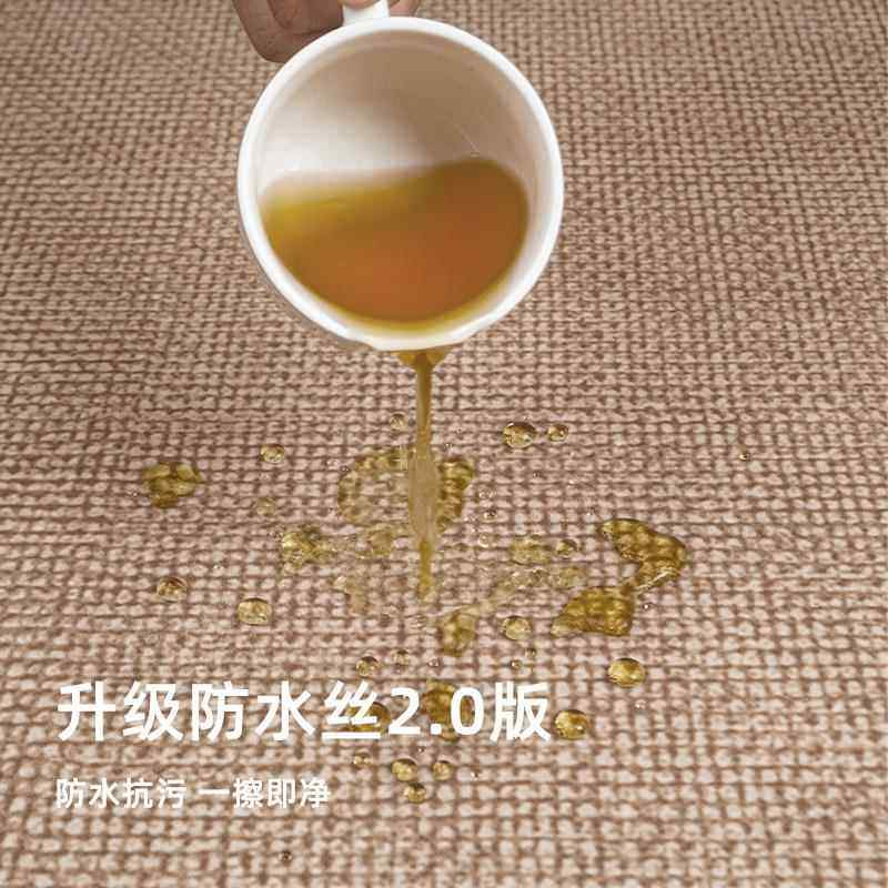客厅地毯卧室床边毯新款免洗擦房间级全铺大面积地垫子