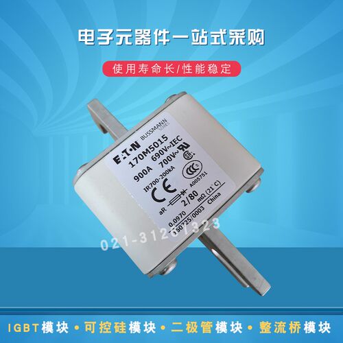 巴斯曼熔断器170M5017 5018 5058 5059 5060 5061 5062 5063Z 506