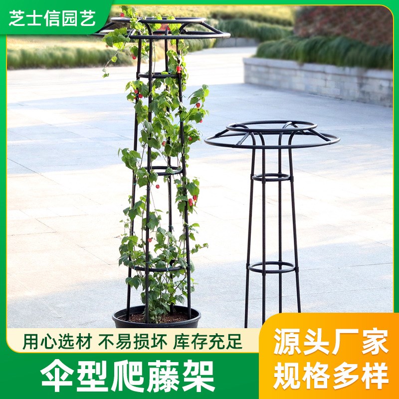 新款伞型花架爬藤架户外园艺花卉攀爬架圆管支架月季铁线莲攀藤花