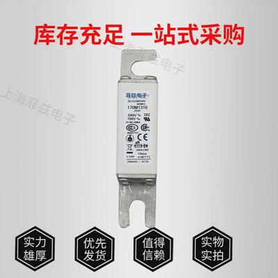 170M1308 1309 1310 1311 1312 1313 1317 1319 1322熔断器保险丝