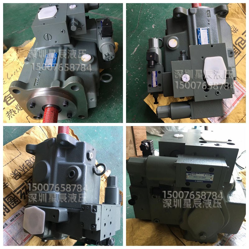 SUNNY桑尼士HA145-F-R-04/100/90/64-F-R-04-H-S-K-32注塑机油泵