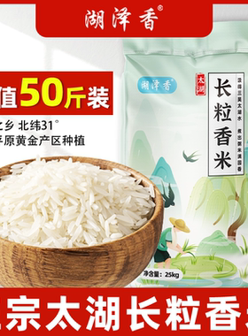 湖泽香50斤太湖丝苗长粒香正宗农家晚稻猫牙米新米25公斤现磨批发