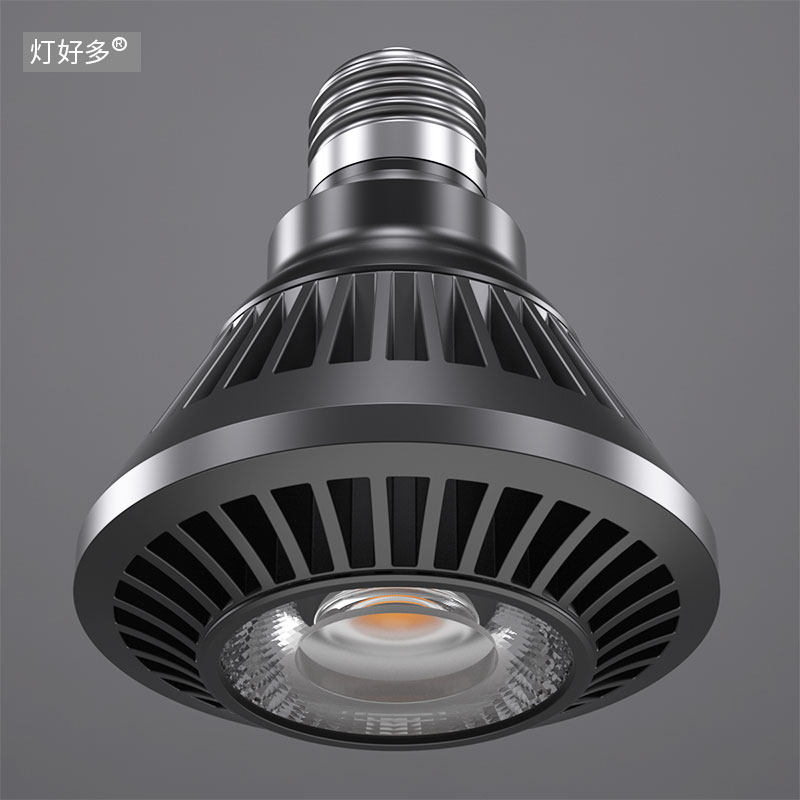 餐饮店餐厅饭店全光谱LED灯泡射灯光源Par 20 30 38聚光型24W 12W