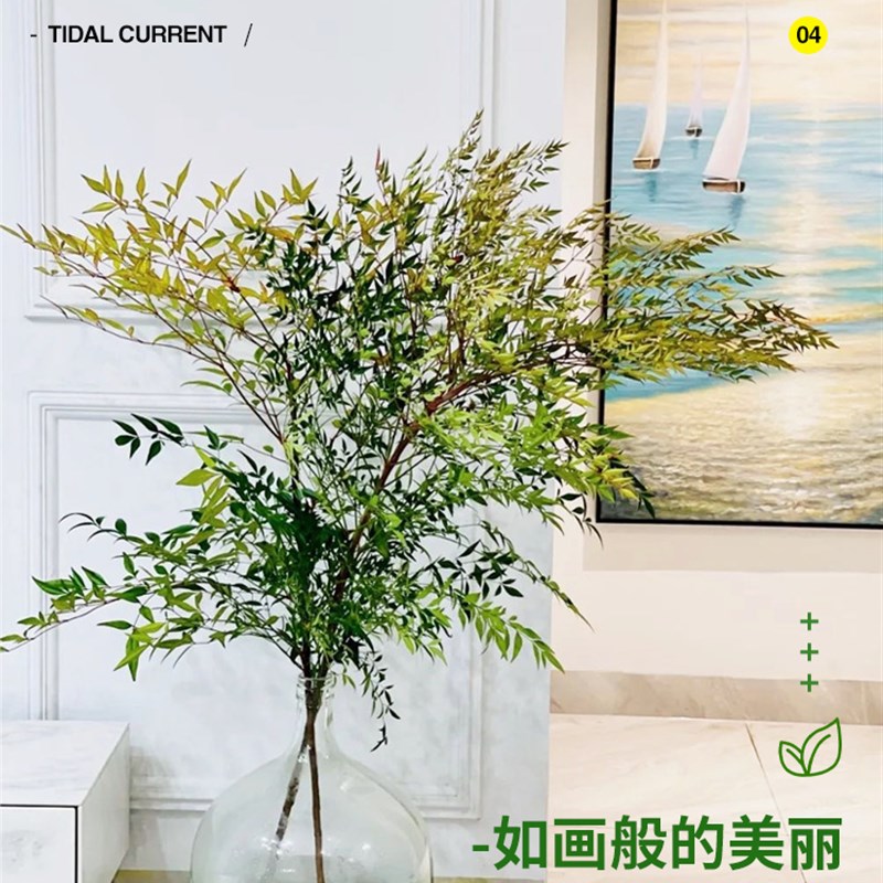 南天竹水培绿植火焰红水养盆栽室内花卉鲜切枝吊钟马醉木平替植物