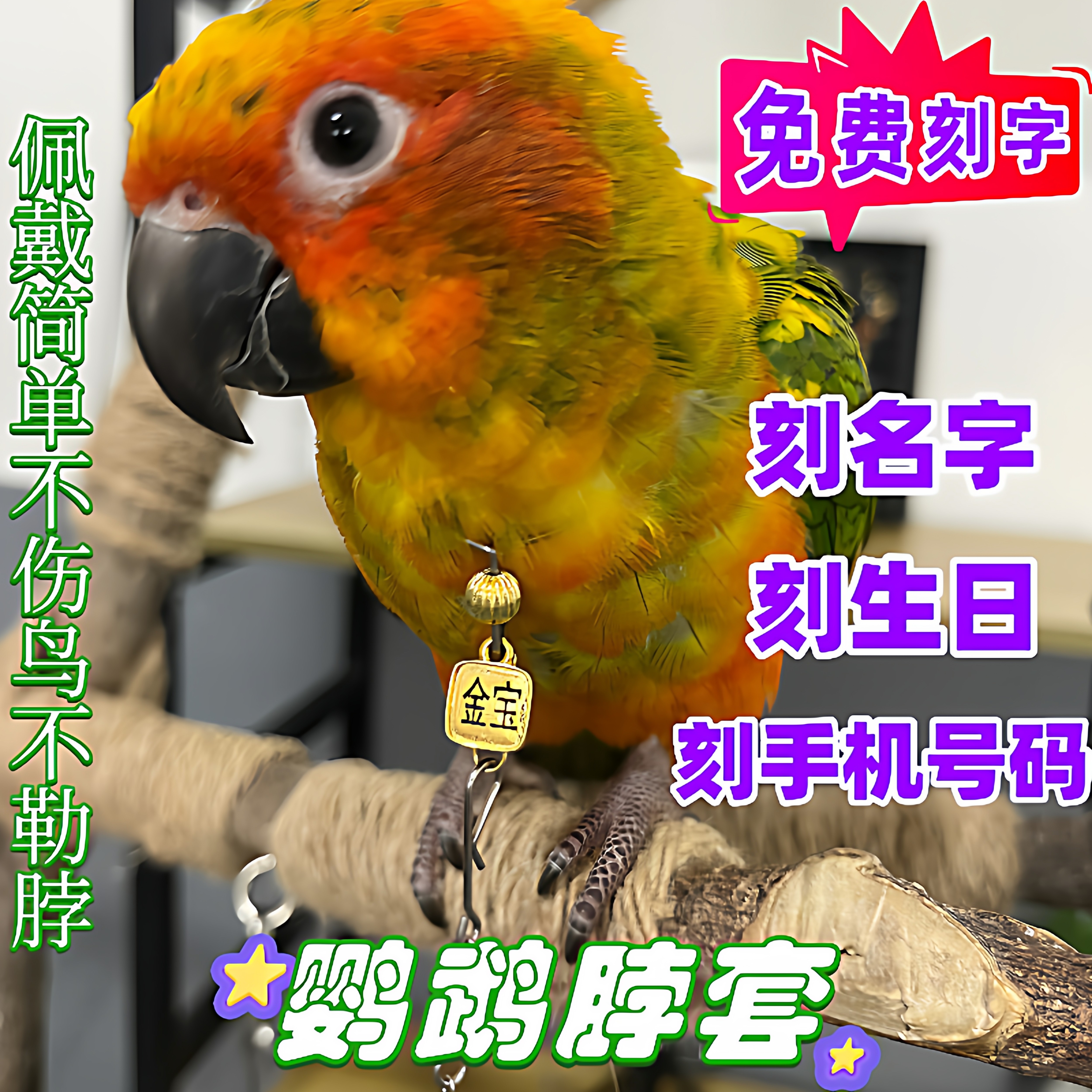 金太阳鹦鹉脖套刻字款栓鸟遛鸟链子放飞绳脖圈玄凤虎皮牡丹小太阳