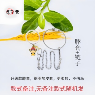 和尚鹦鹉脖套小太阳鹦鹉站架链牡丹玄凤凯克吸蜜放飞遛鸟脖圈脖环