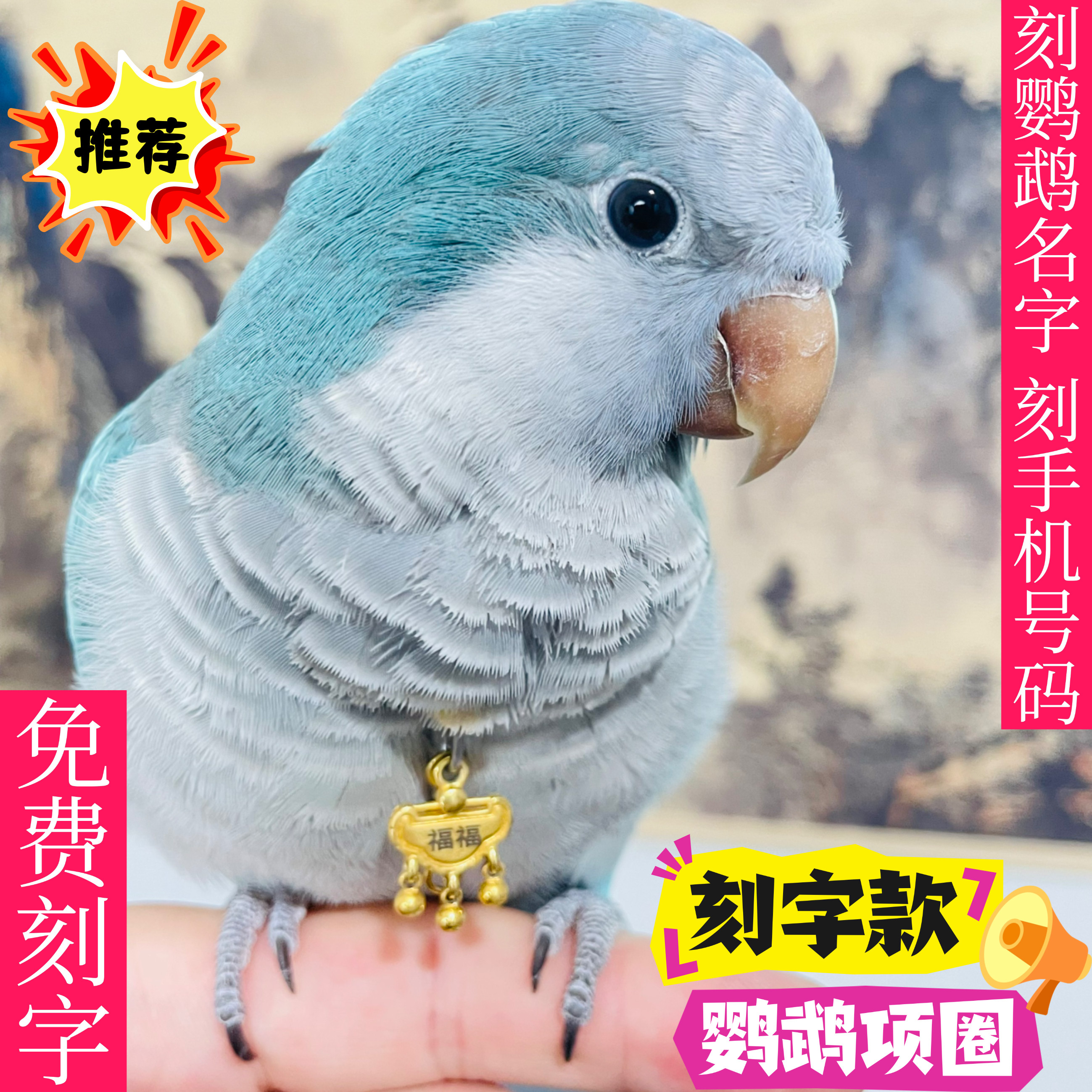 刻字定制和尚鹦鹉脖套玄凤小太阳金太阳鹦鹉脖圈栓鸟放飞绳脖圈