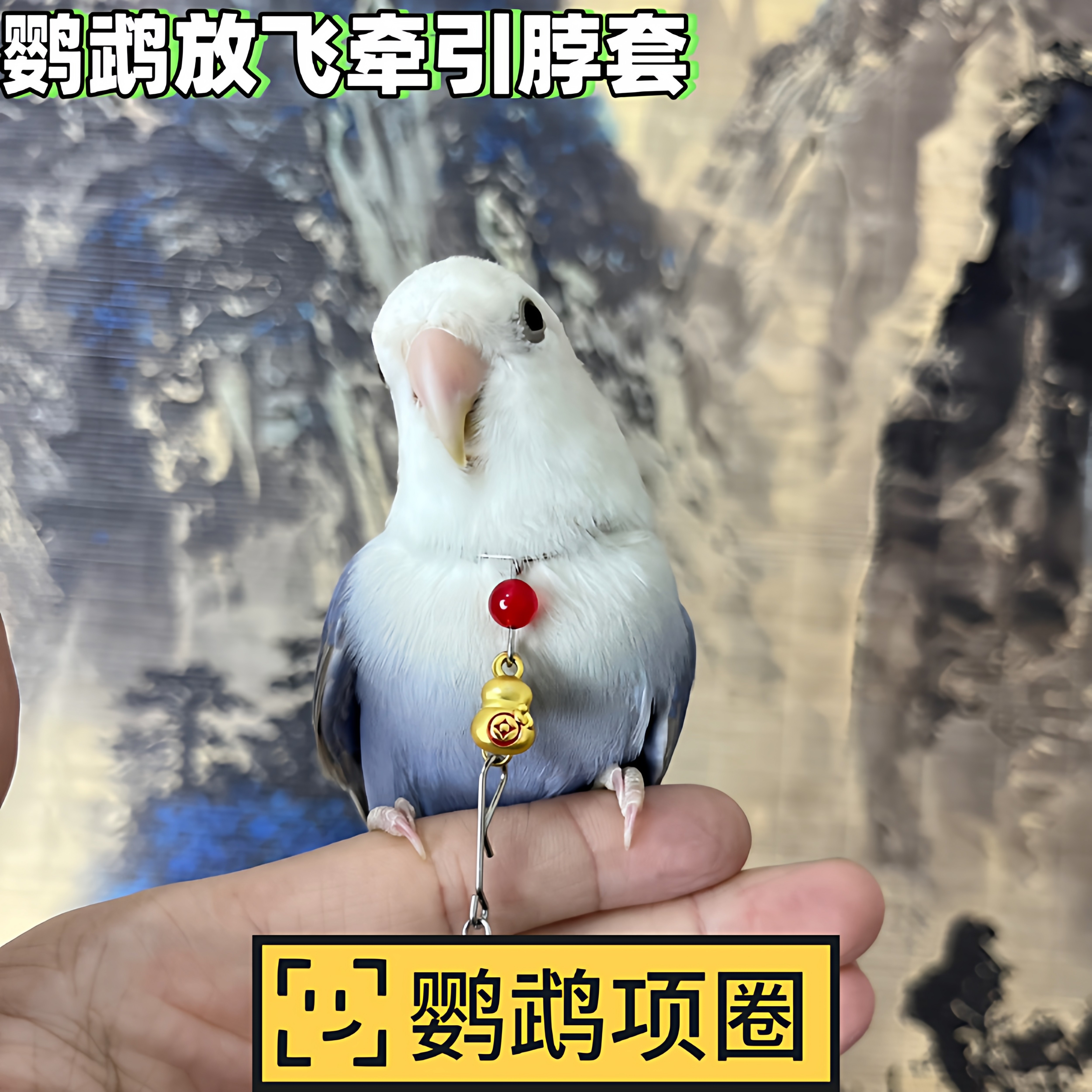 小太阳鹦鹉脖圈脖套金太阳牡丹玄凤和尚鹦鹉放飞遛鸟牵引链子项圈