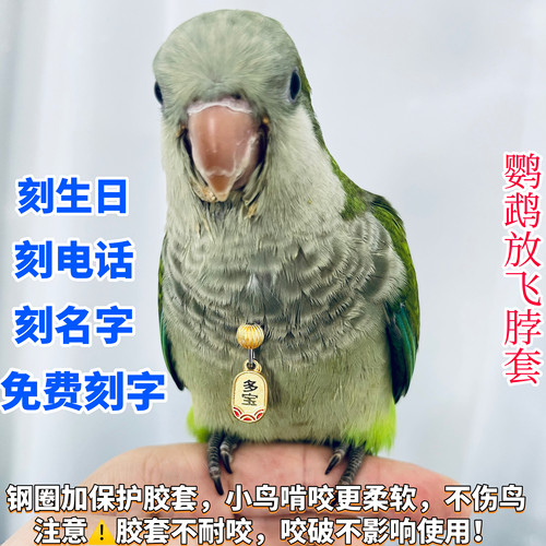 和尚鹦鹉脖套刻字栓鸟链子小太阳鹦鹉放飞脖圈玄凤牡丹金太阳项圈