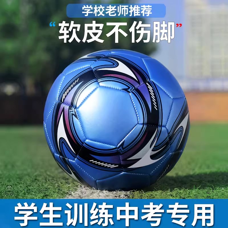 2024体育中考专用3号四号五号足球儿童小学生成U人少儿训练球真皮