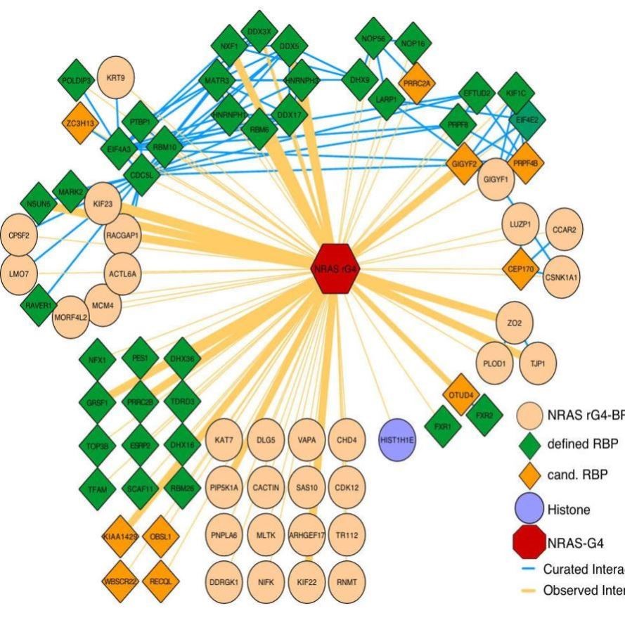 生信分析服务2-5差异基因单细胞测序转录组数据r语言火山图热图服