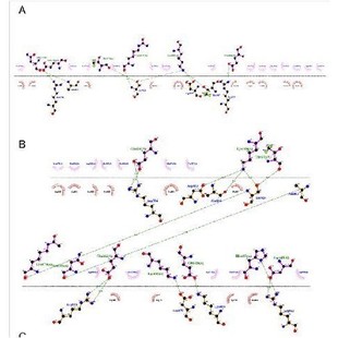 amber 生物分子计算 gromacs代算 分子动力学代算 分子动力学模拟