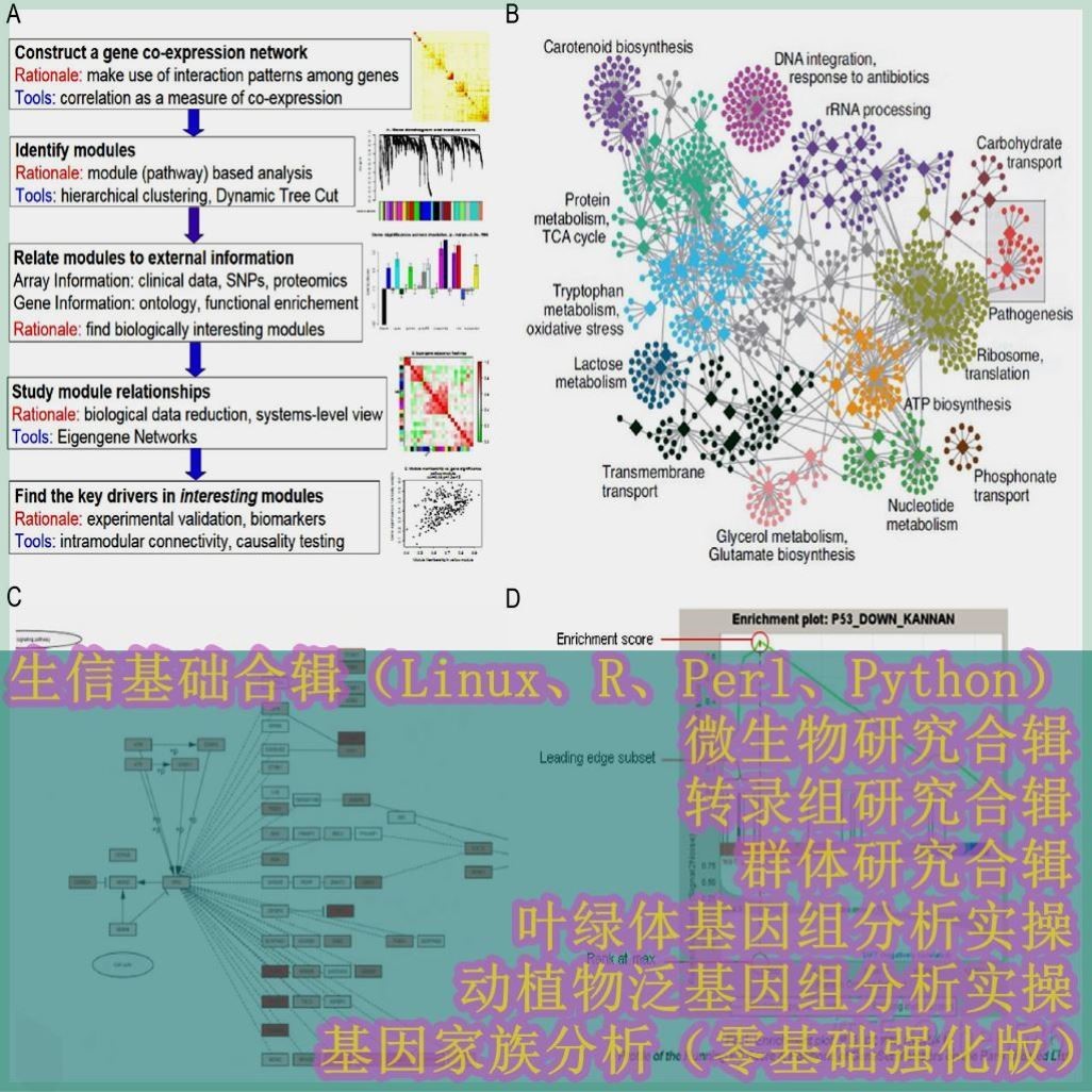 代谢组学群体转录调控微生物研究生信基础泛基因组装转录分析实操