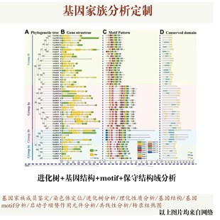 扩增子16s18SITS宏基因组测序数据分析微生物多样性测序基因组服