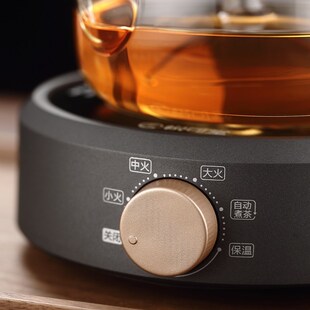 烧水壶家用泡茶壶电陶炉提梁壶茶具 玻璃煮茶壶2024新款
