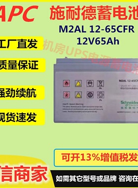 施耐德蓄电池M2AL12-65CFR 12V65Ah UPS/EPS应急电源系统医疗机房