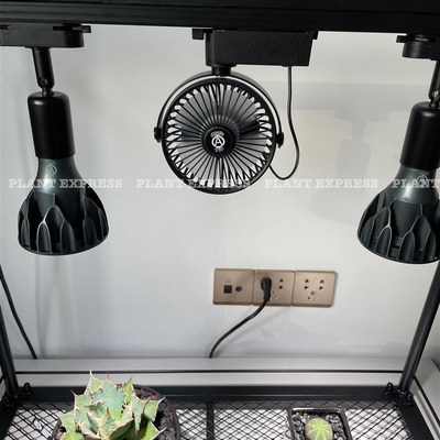 块根植物轨道灯槽风扇室内植物墙降温通风除湿大风量多肉龙舌兰
