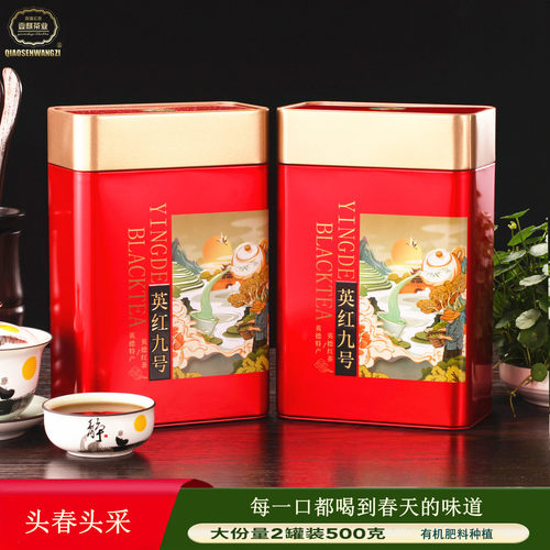 英德红茶英红九号头春头采红茶