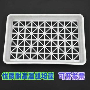 供应育苗筐特大组培盘塑料组培筐白色耐高温组培室专用筐土豆框