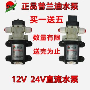 小型增压电动普兰迪直流微型水泵隔膜泵自吸泵12V24V小水泵抽水泵