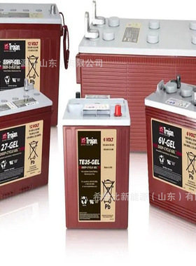 Trojan邱健蓄电池T605 T105 T105PLUS T125 T125PLUS T145富液式