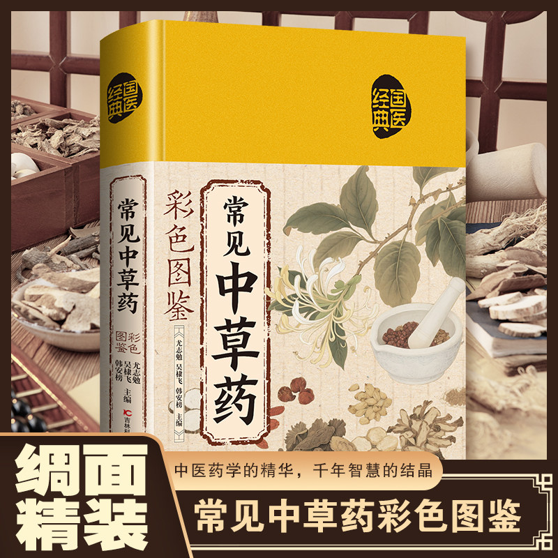 常见中草药彩色图鉴正版超实用中草药识别手册中草药图鉴图谱中国药材图鉴中药材大全200多种常用中草药识别应用原色图片中医书籍
