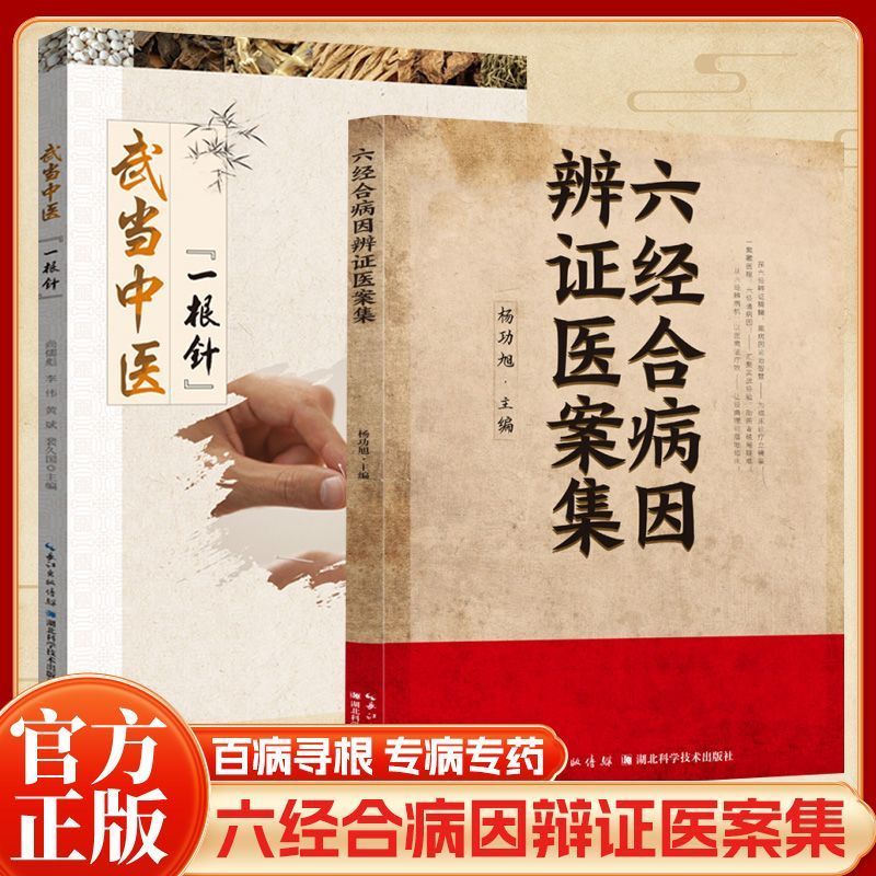 当日发六经合病因辩证医案集