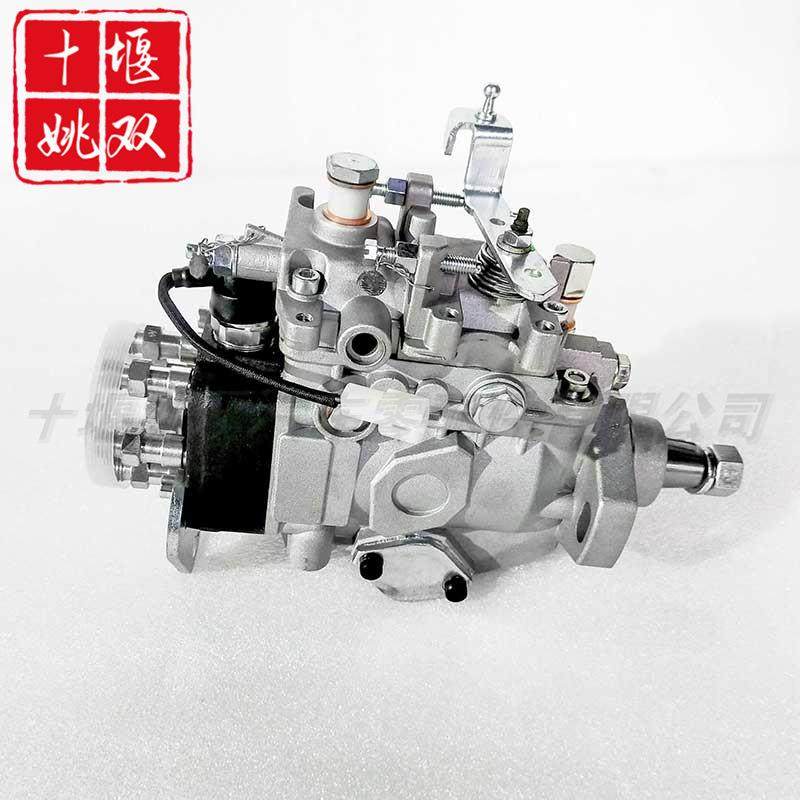 燃油泵22100-1C220适用柴油发动机VE喷油泵总成VE6/10F/900RND267