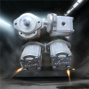 25D0PLM10 6.3 7.2 意大利CASAPPA凯斯帕齿轮泵PLP20.14