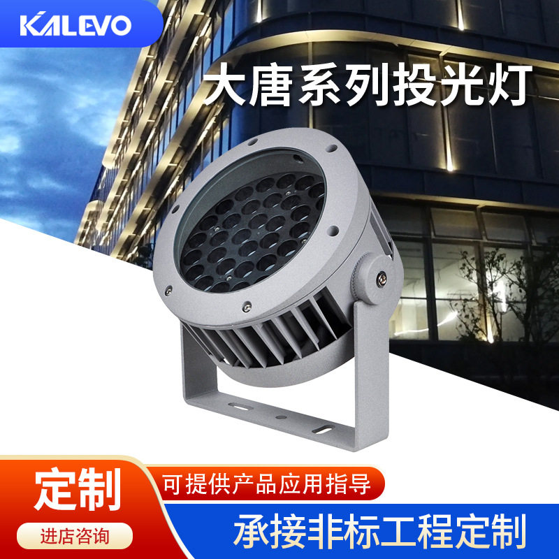 工程户外LEDRGB高亮投光灯