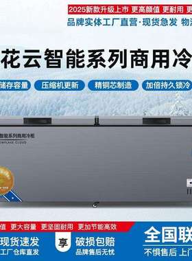 冰柜冷柜智能卧式铜管冷藏冷冻商用冷冻柜保鲜单温速冻柜