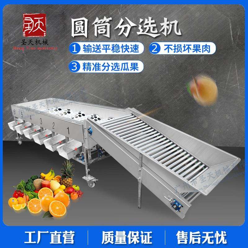 广州圣天水果分级机荔枝三华李子橙子选果机果蔬柑橘清洗分选机