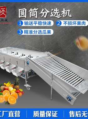 广州圣天水果分级机荔枝三华李子橙子选果机果蔬柑橘清洗分选机