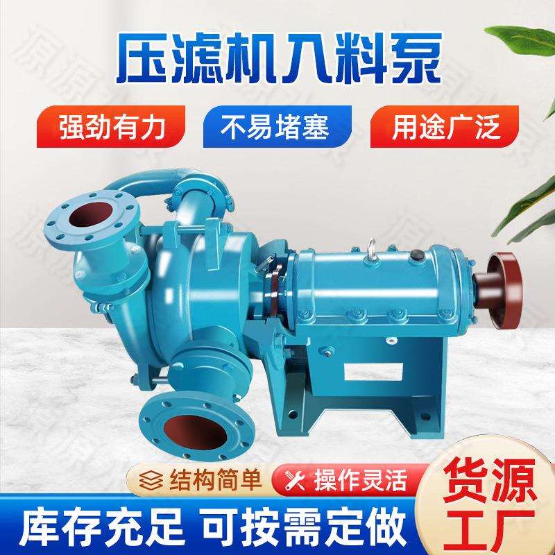 100ZJE-II型压滤机入料泵给料泵250平方洗煤厂加压泵浮选压滤机