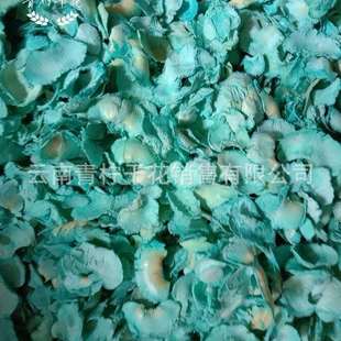 漂白染色椰子壳花材干花干草组合花材虞美人干花