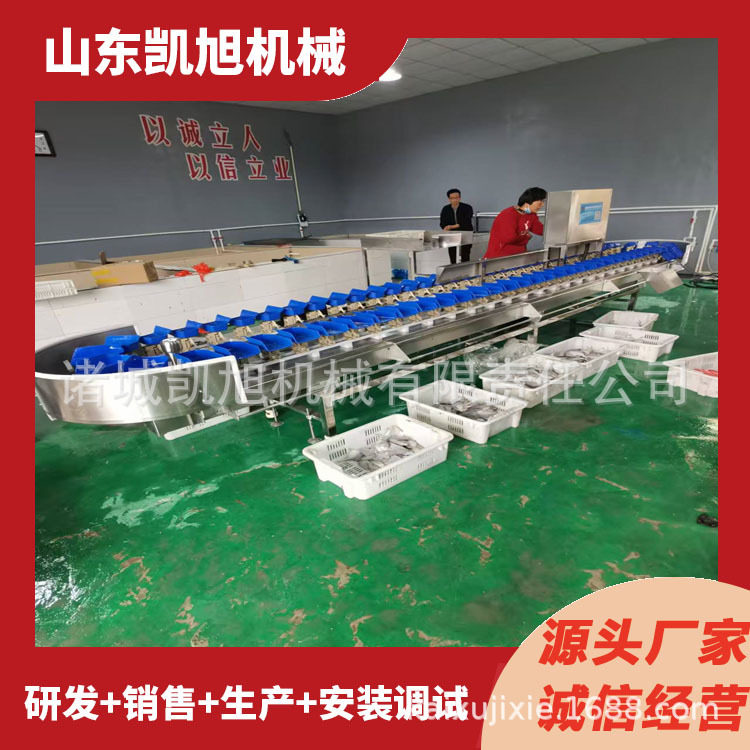 梭子蟹大闸蟹自动分拣机鱿鱼筒八带重量分选机精准分选效率高