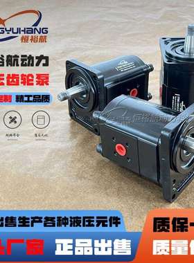 恒裕航齿轮泵替换力士乐Rexroth齿轮马达0511545601AZMF液压马达