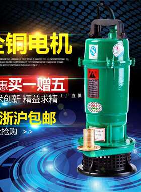 370W750W家用潜水泵抽水泵抽水机小型井水农用水泵一寸220V