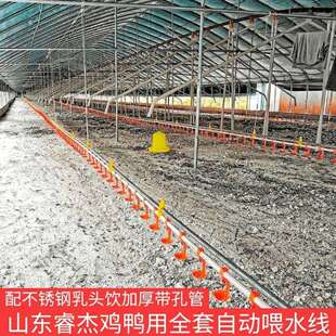 全套鸡用自动水线饮水器养殖设备养鸭用品鸡用自动饮鸡鸭水线配件