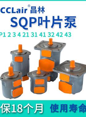 叶片泵20V8A10A14A17A19A25V21A25A30A35V45A3520V4520V3525V4525