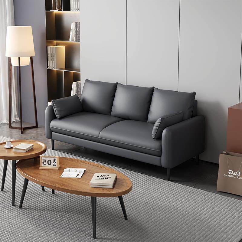 cs办公室接待小沙发休息区小型公寓简易家用3人位2二人适合小户型