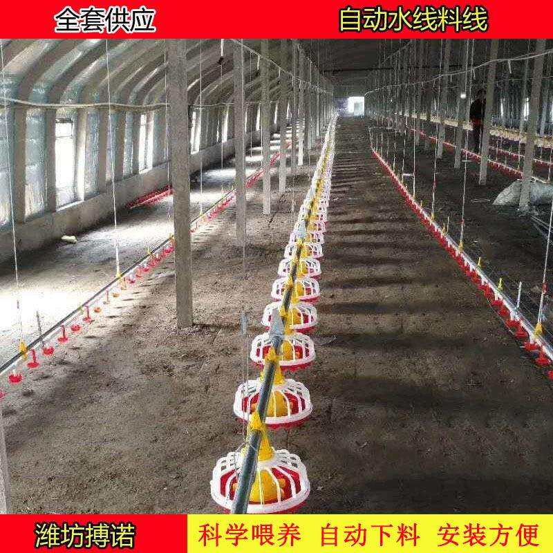 山东料线养鸡设备自动水线料线养殖场鸡用喂食器喂料器