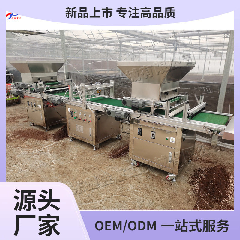台式农用穴盘育苗机 蔬菜秧苗穴盘播种机 全自动穴盘育苗播种机