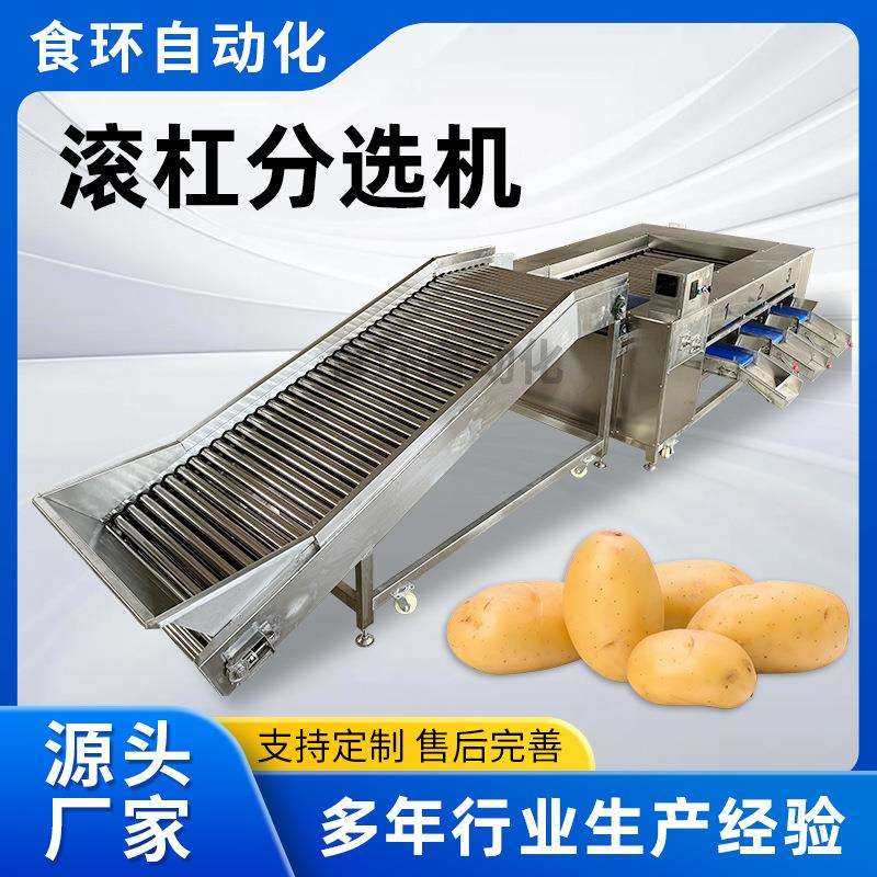 滚杠分选机水果荔枝圣女果分选分拣选果机芥菜咸菜滚杠式分选机