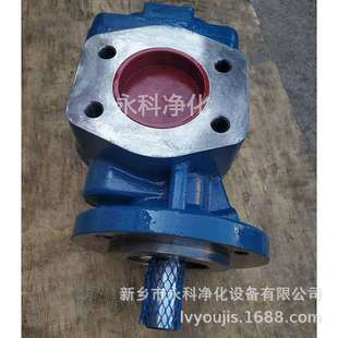 KF200RF1 D15齿轮泵抽油泵输油泵齿轮油泵