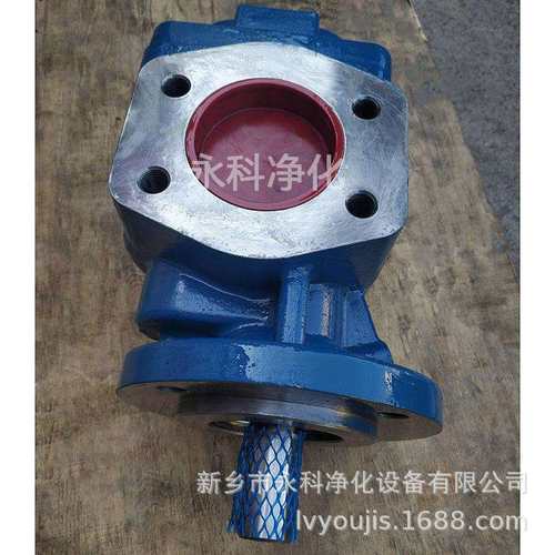 KF200RF1-D15齿轮泵抽油泵输油泵齿轮油泵