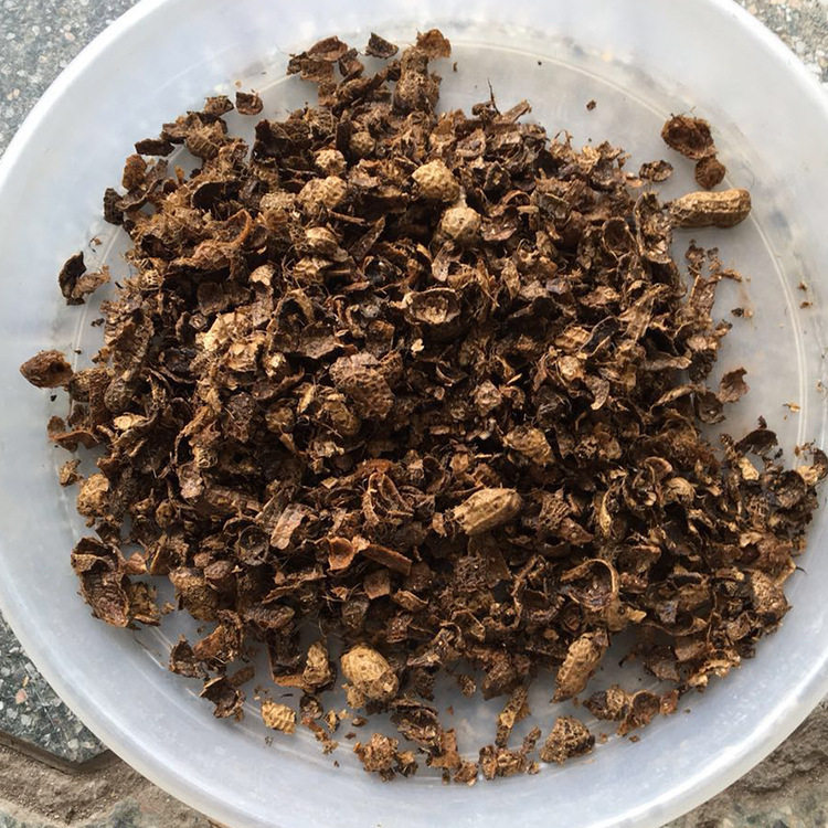 天然花生壳 批发兰花栽培基质 植物材料 花园土 兰科用植料